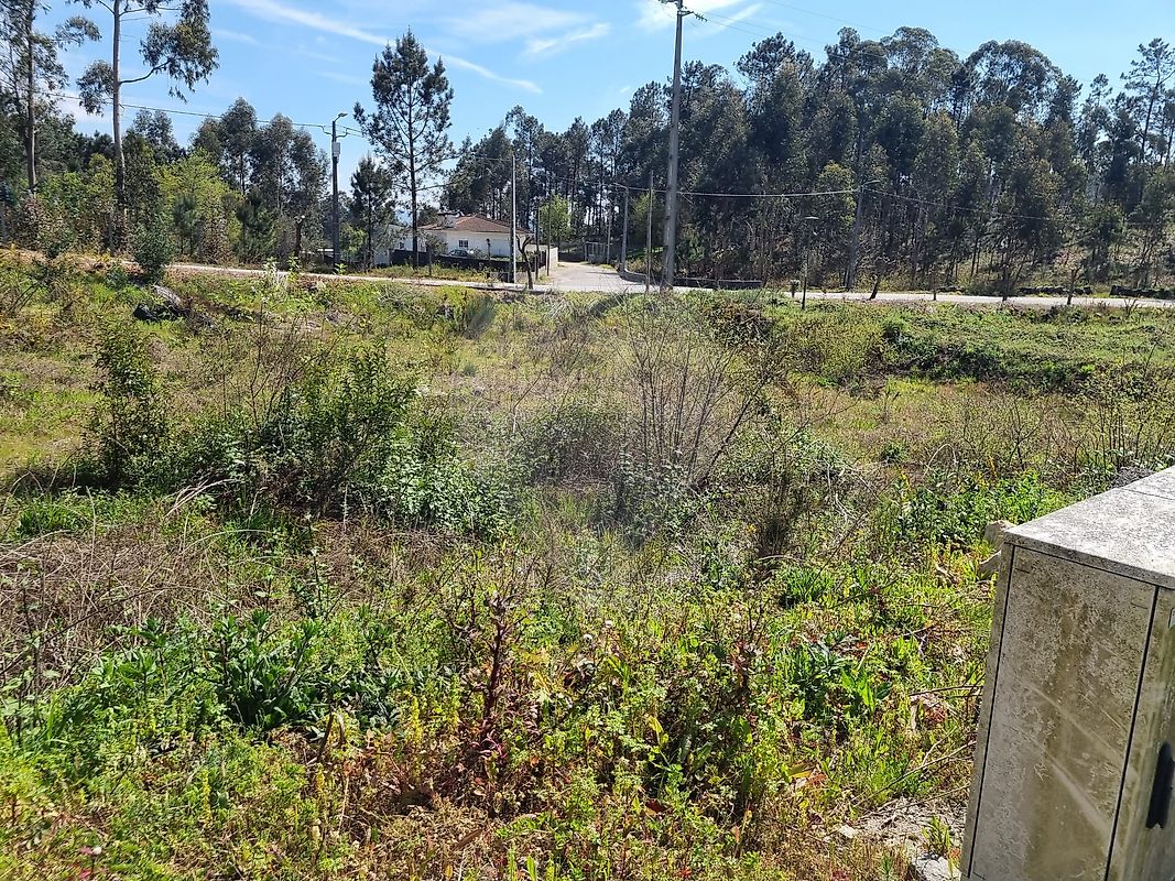 Terreno  à venda em Oliveira de Azeméis