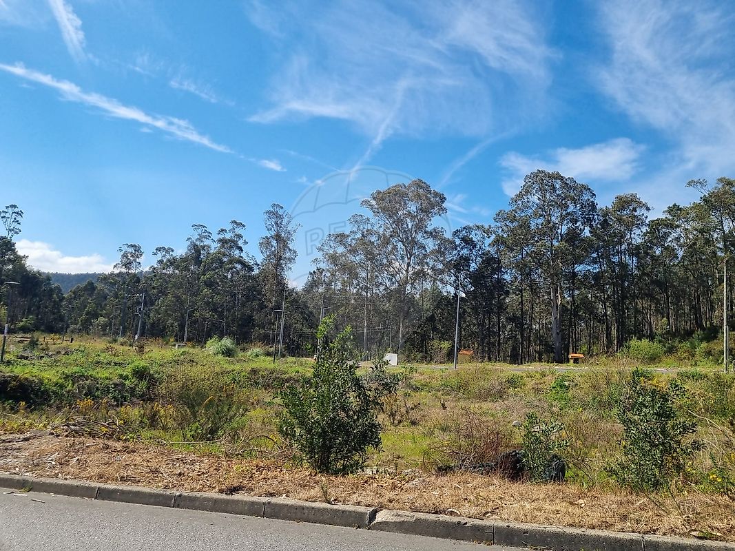Terreno  à venda em Oliveira de Azeméis