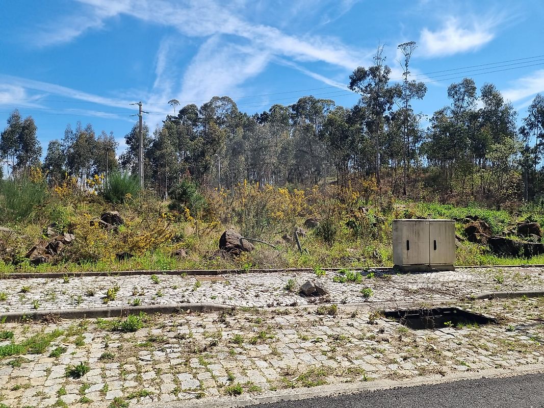 Terreno  à venda em Oliveira de Azeméis