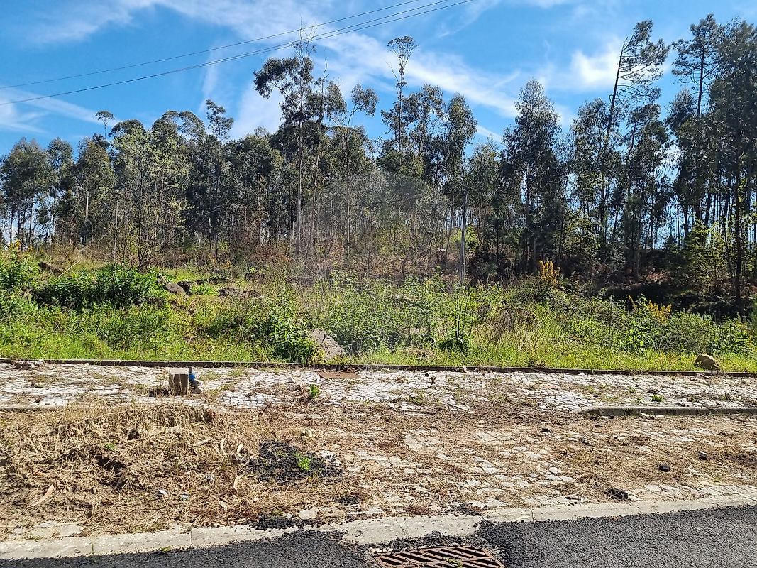 Terreno  à venda em Oliveira de Azeméis
