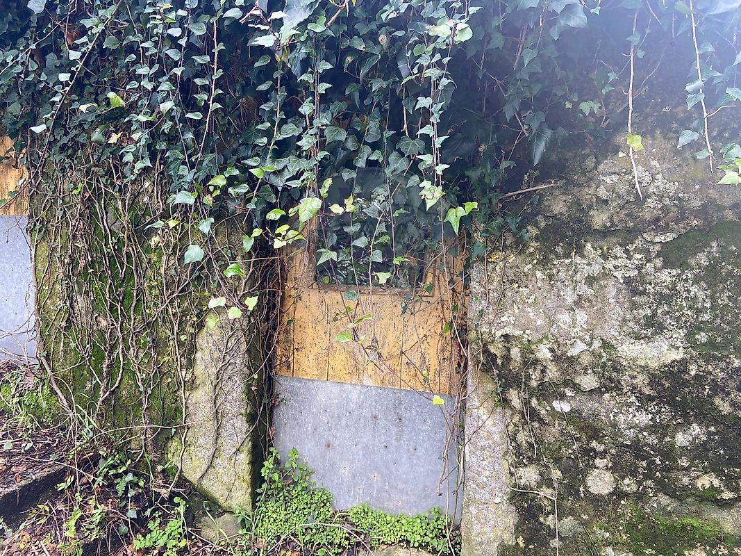 Moradia T3 à venda em Santiago de Piães, Cinfães — foto 6
