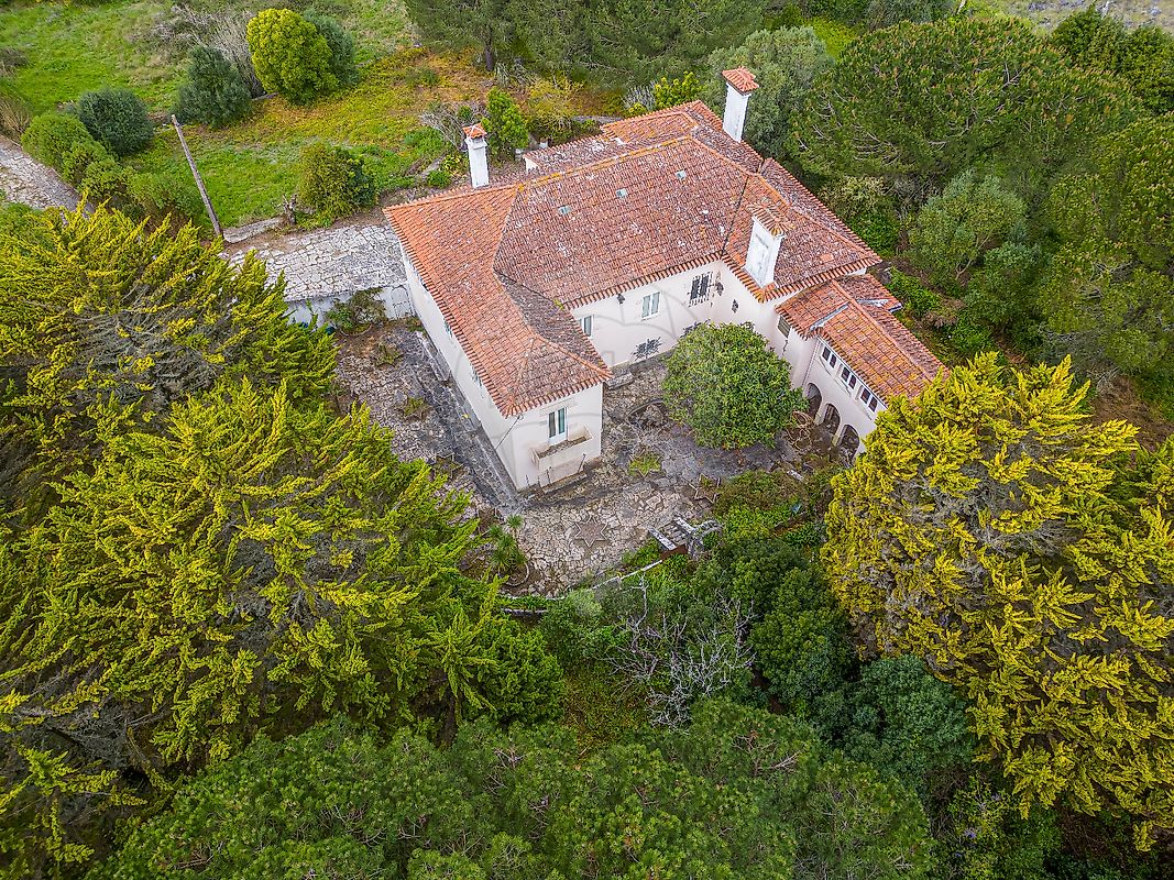 listing-picture-0