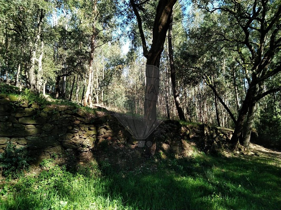 Land for sale in Arouca, Portugal — €65,000