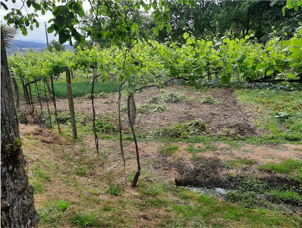 Terreno à venda em Penafiel