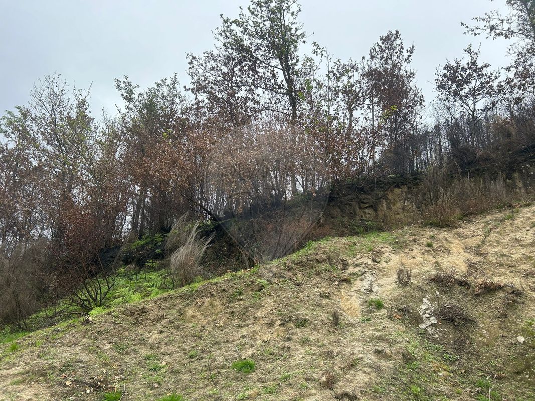 Terreno  para venda