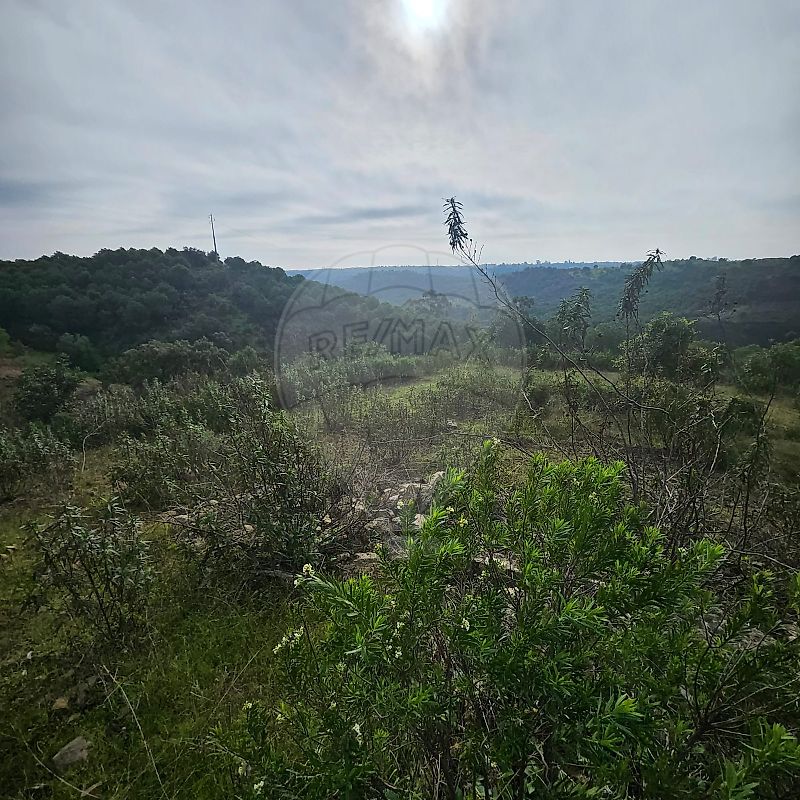 Terreno  à venda em Castro Marim