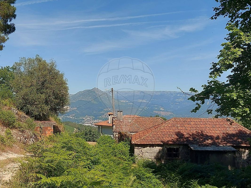 Terreno - Britelo, Gémeos e Ourilhe, Celorico de Basto, Braga