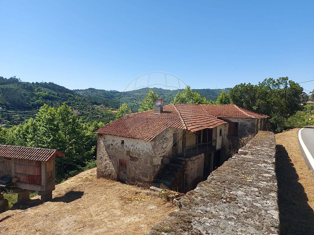 Terreno - Carvalho e Basto (Santa Tecla), Celorico de Basto, Braga