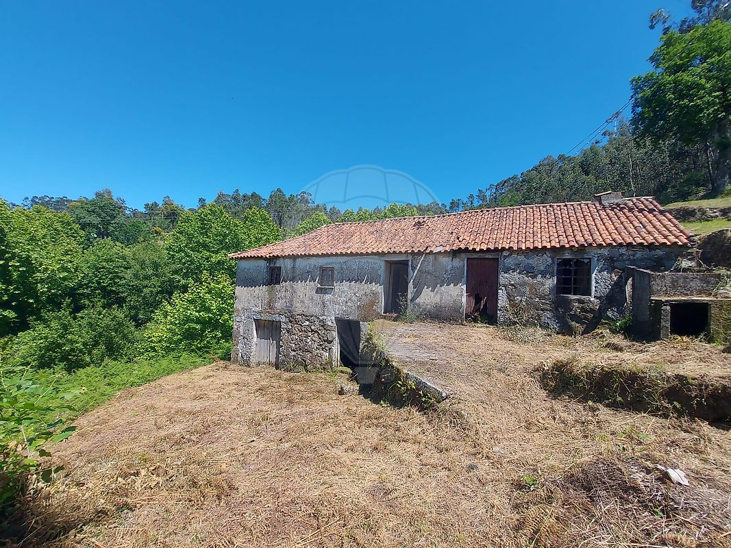 Terreno - Carvalho e Basto (Santa Tecla), Celorico de Basto, Braga