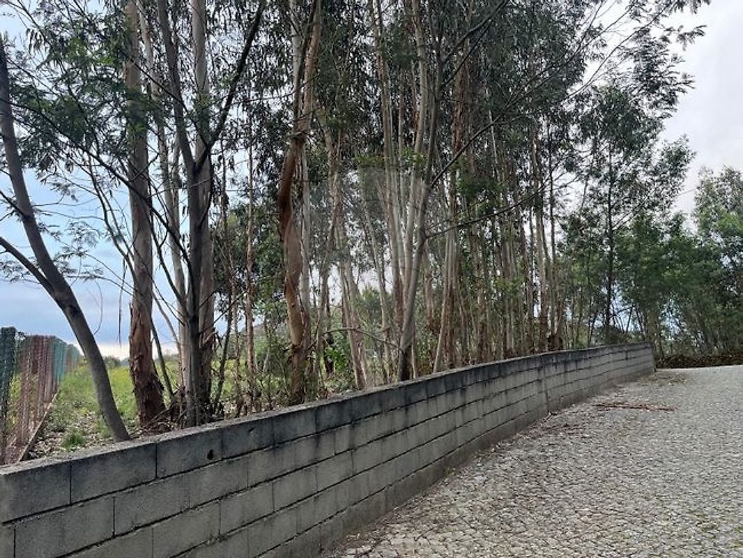 Moradia T3 à venda em Rio Mau, Penafiel — foto 12