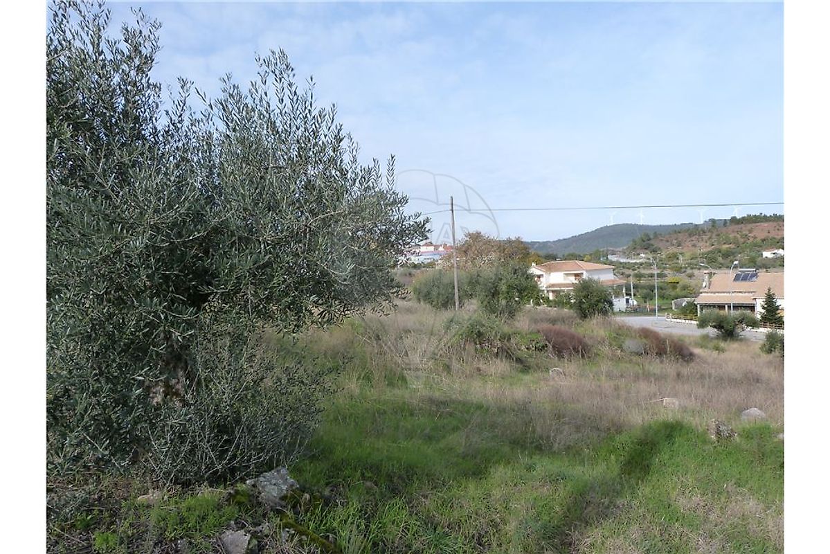 Terreno em Penamacor