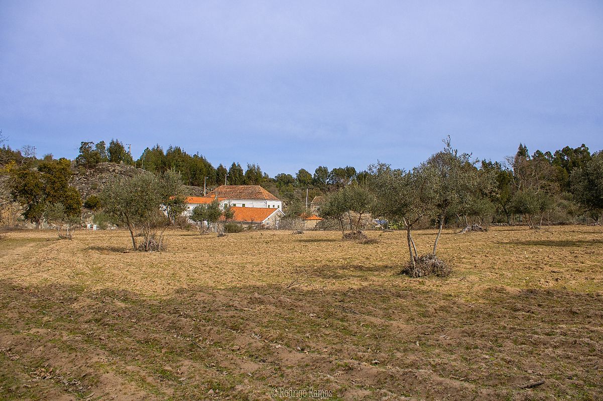 Terreno à venda em Penamacor