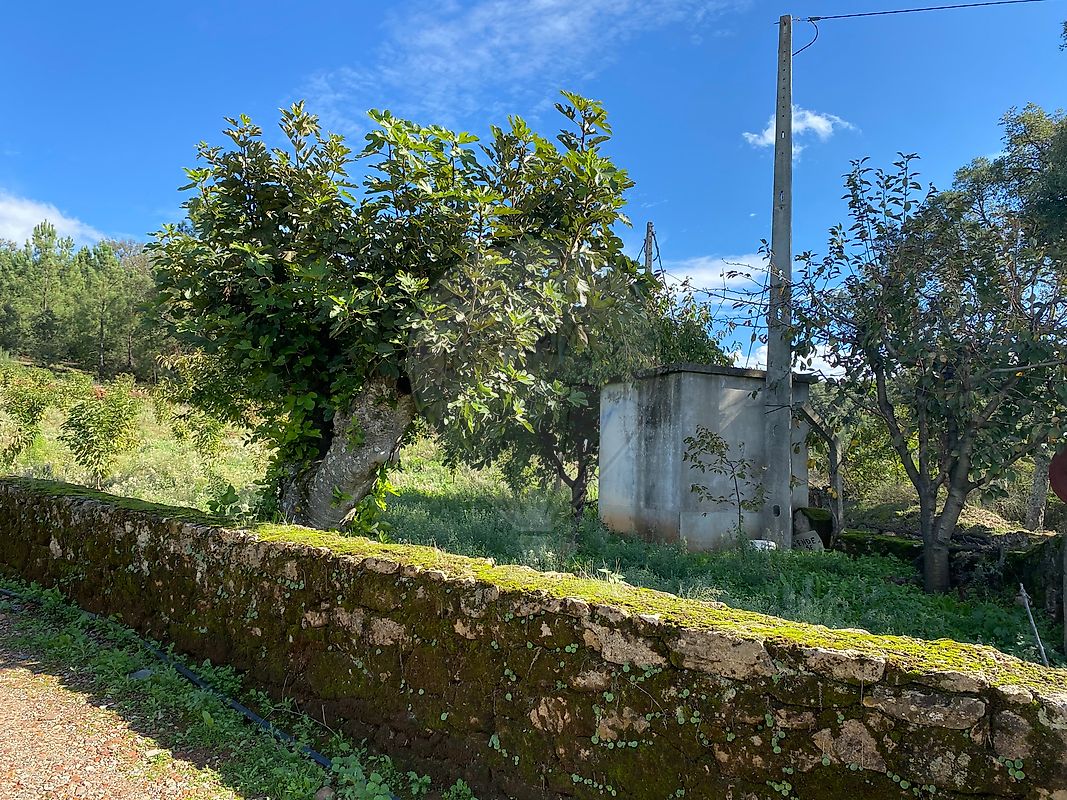 Terreno  para venda
