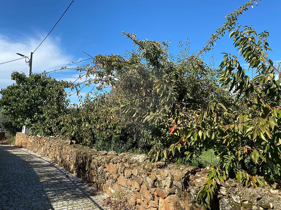 Terreno  para venda