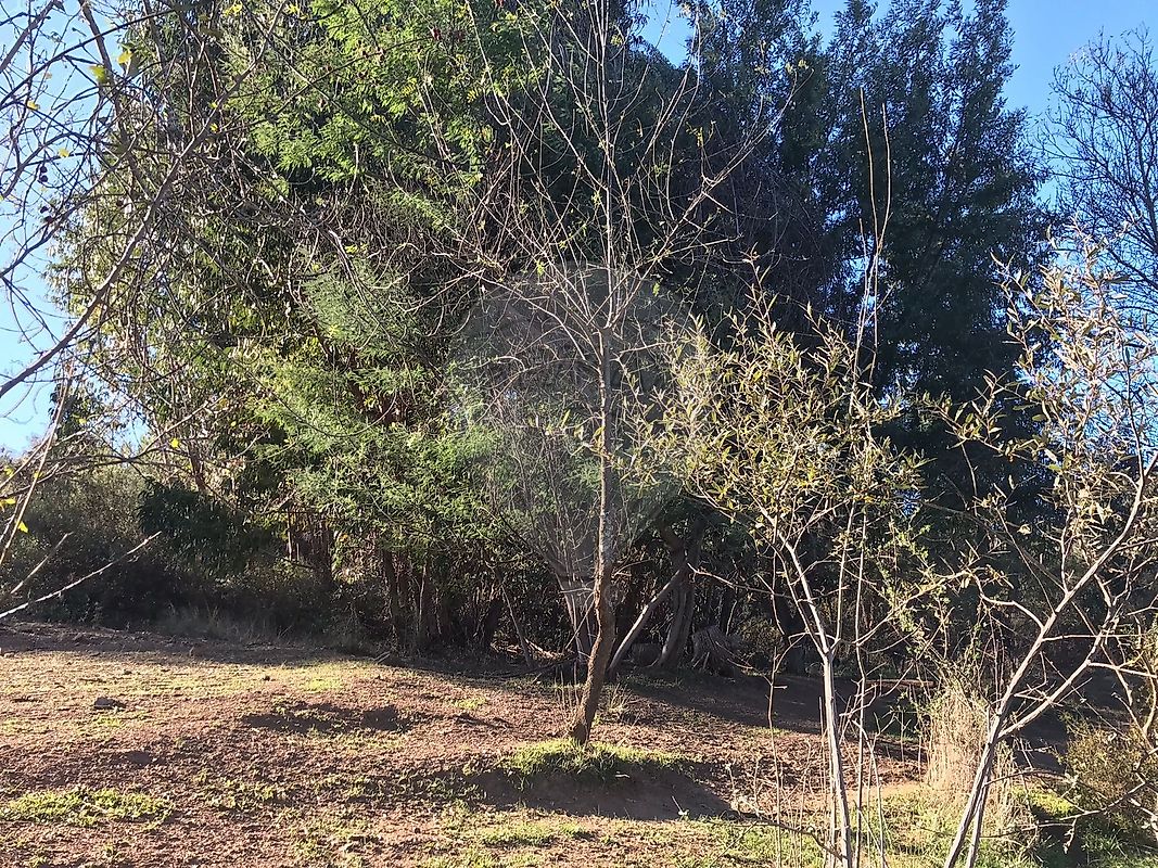 Terreno para venda