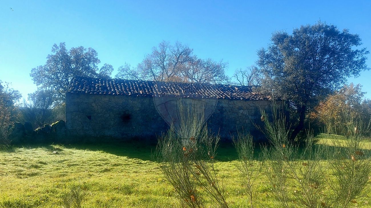 Terreno à venda em Penamacor