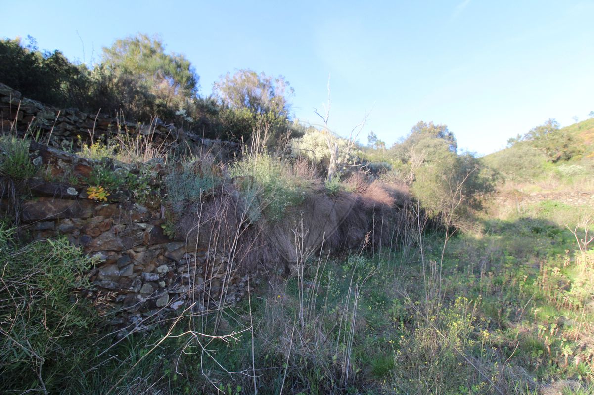 Terreno  para venda