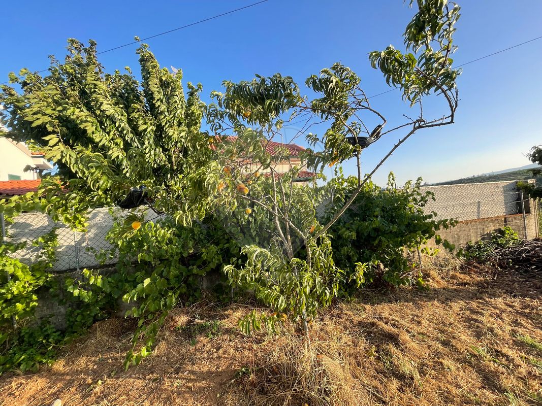 listing 124611049-18 picture-0