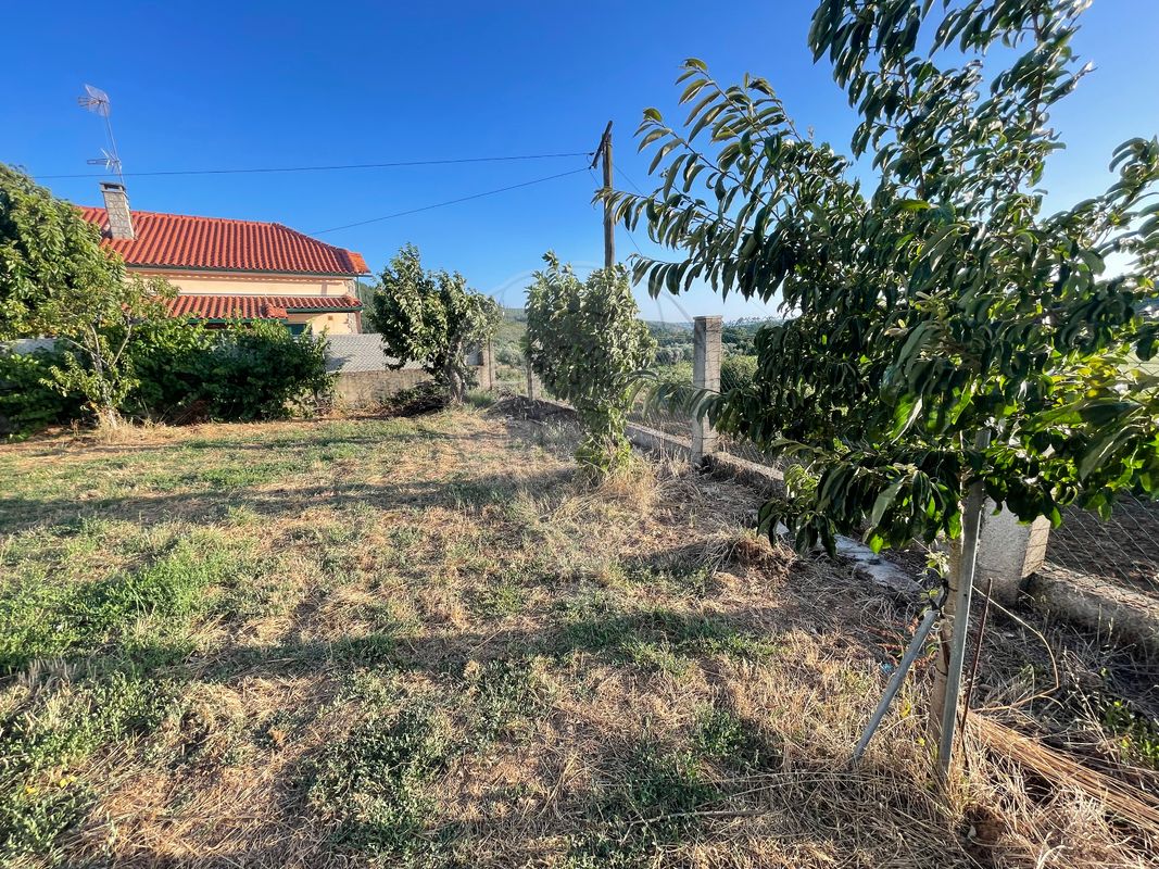listing 124611049-18 picture-0