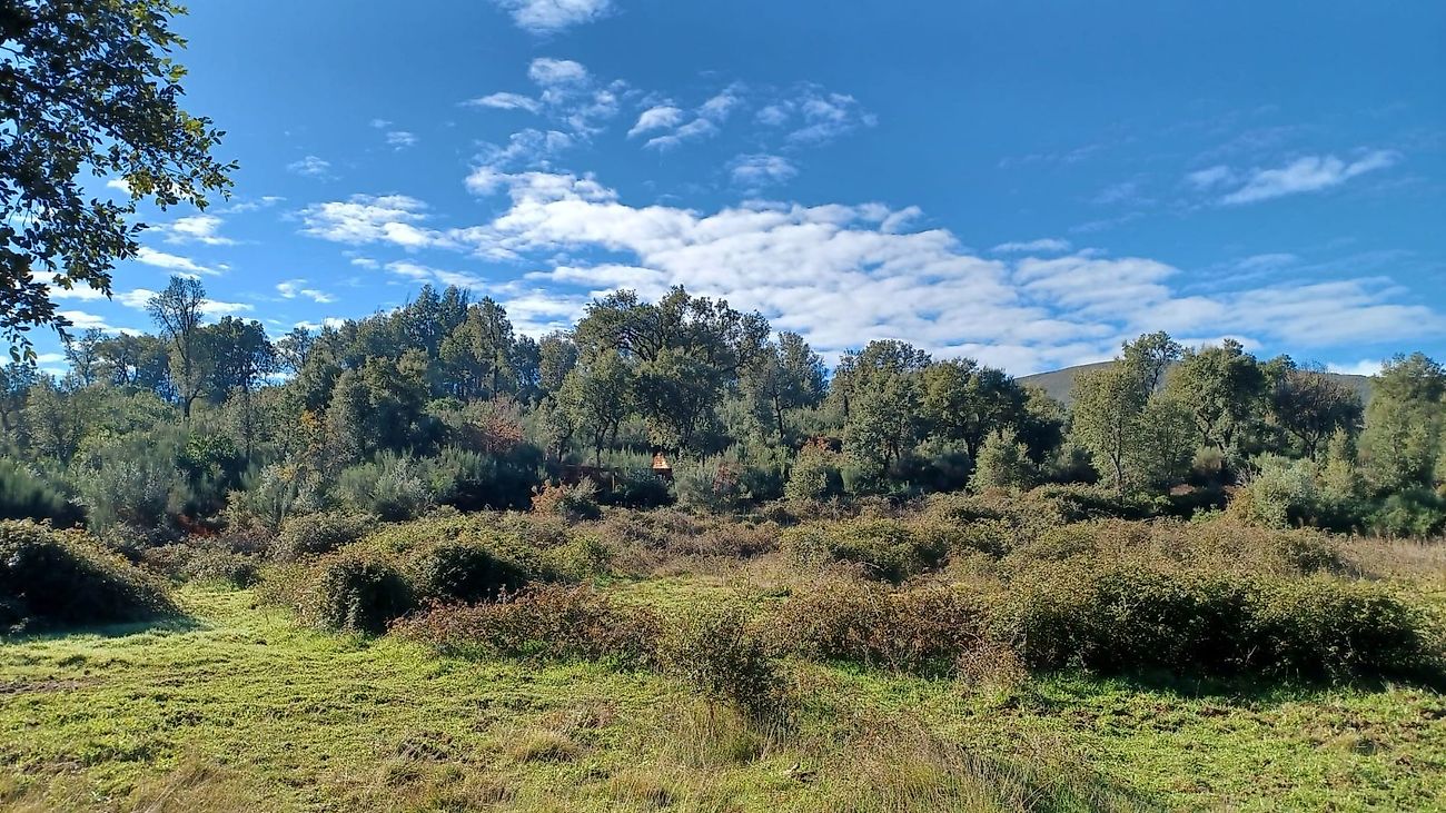 Terreno à venda em Fundão