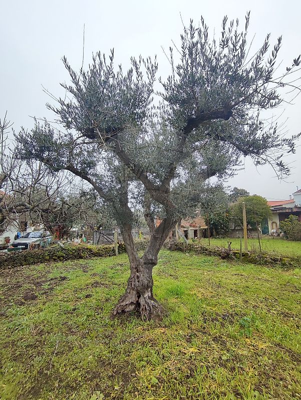 Moradia T0 à venda em Fatela, Fundão — foto 18