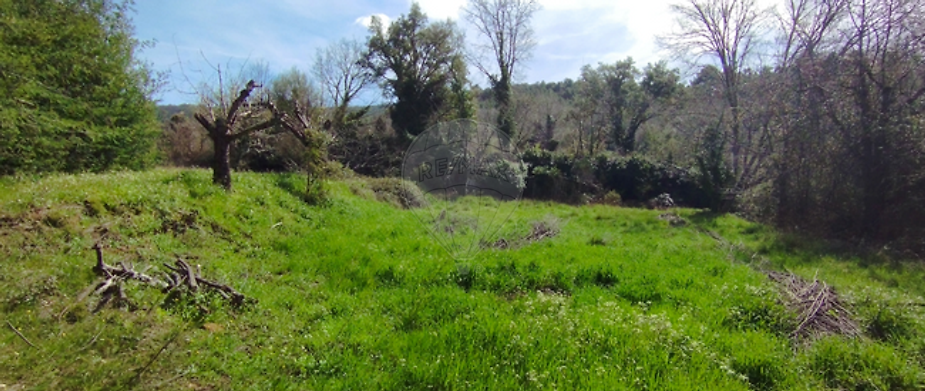 Terreno  para venda