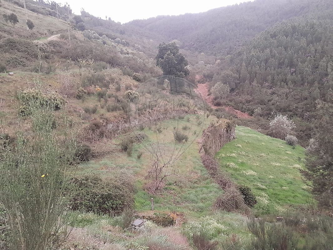 Terreno  para venda