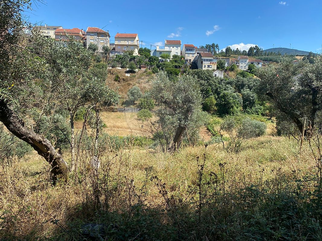 Terreno  para venda