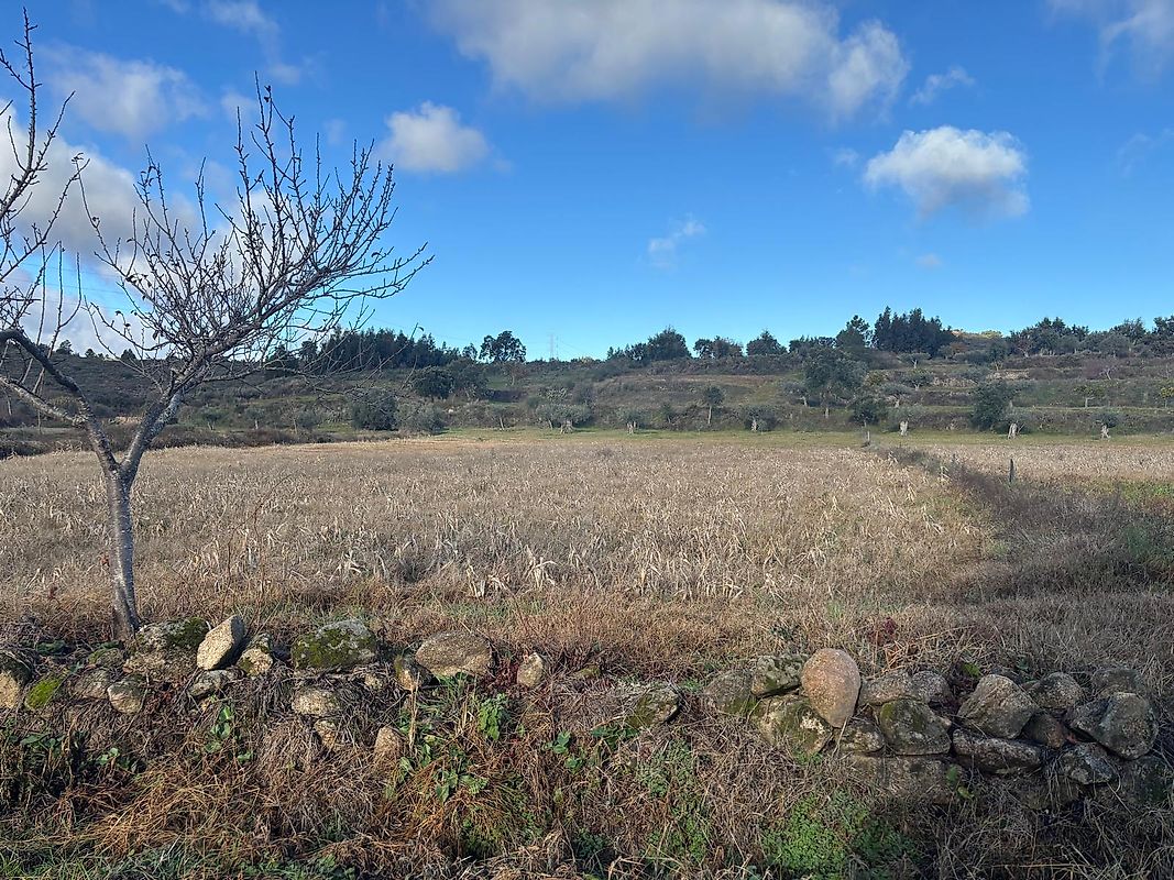 Terreno à venda em Fundão