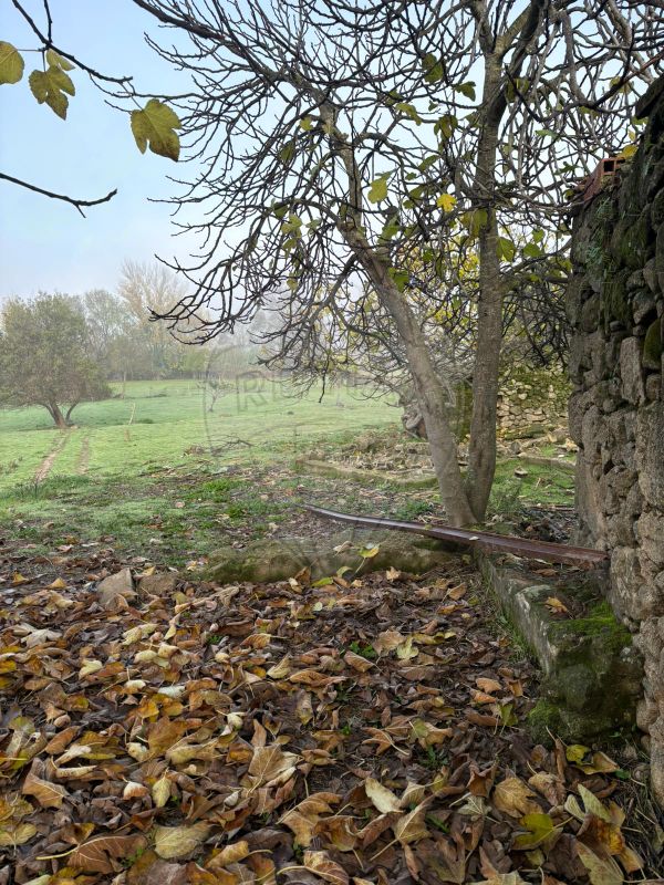 Terreno para venda