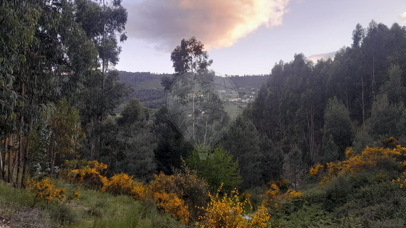 Terreno para venda