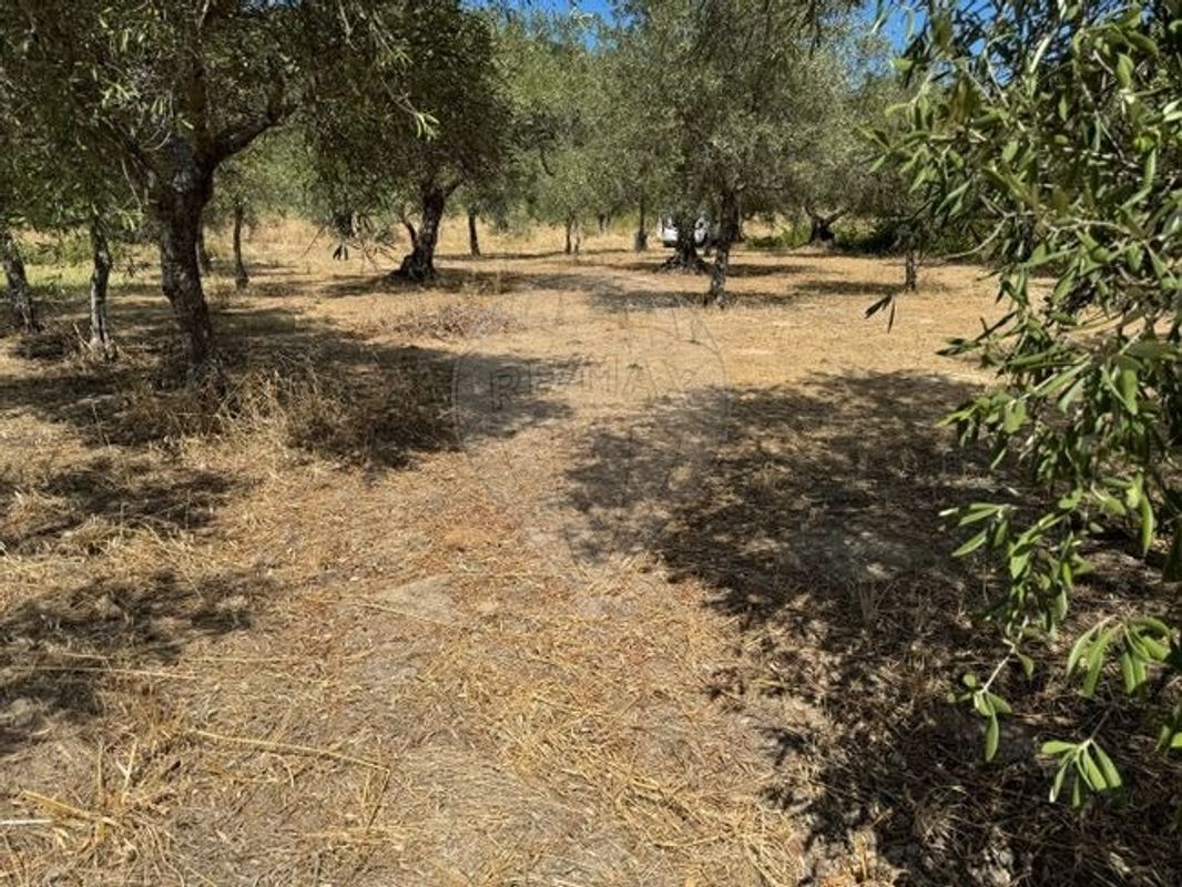 Terreno para venda