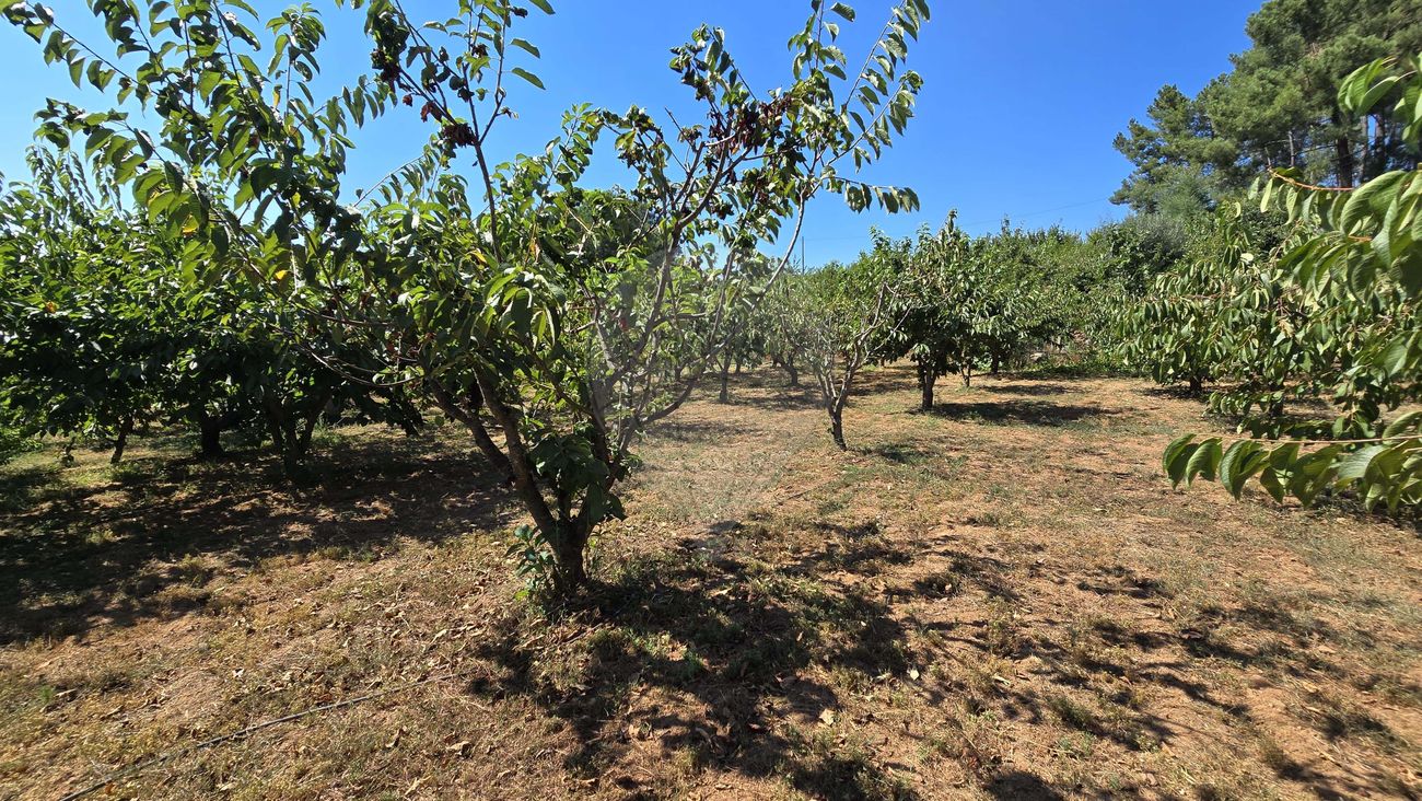Terreno para venda