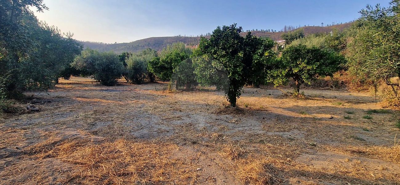 Terreno  para venda