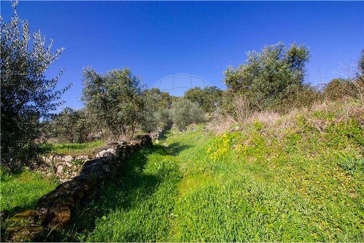 Terreno à venda em Belmonte