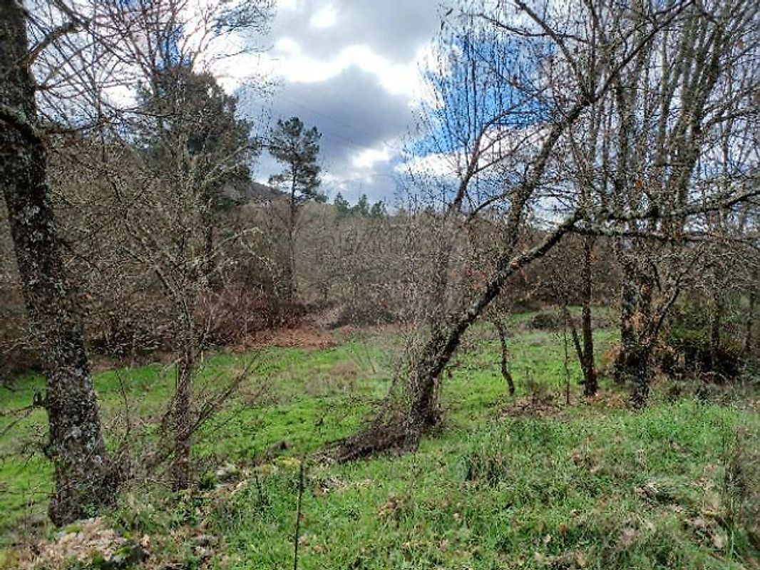 Terreno - Maçaínhas, Belmonte, Castelo Branco