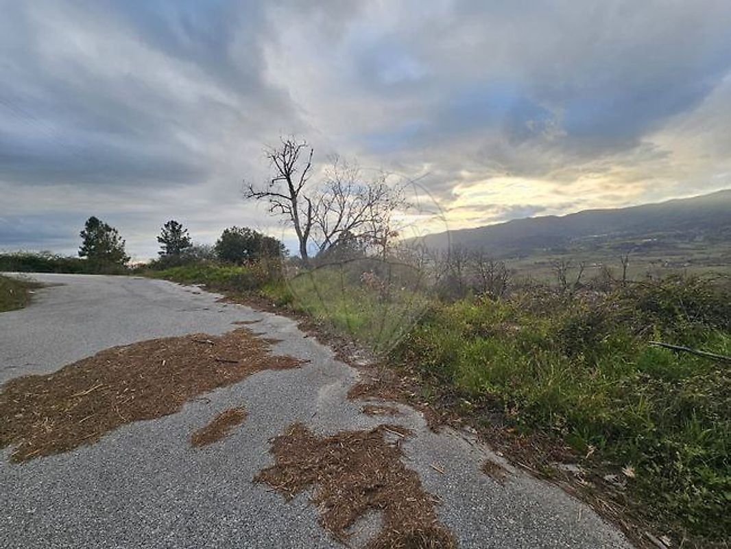 Terreno à venda em Belmonte