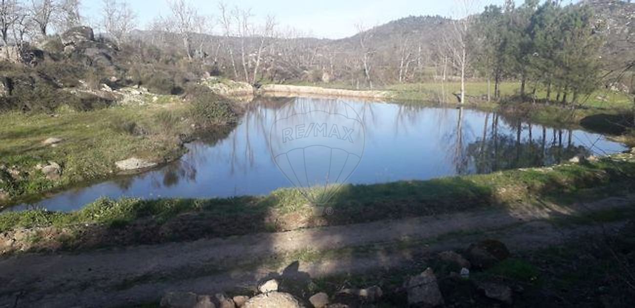 Terreno à venda em Belmonte