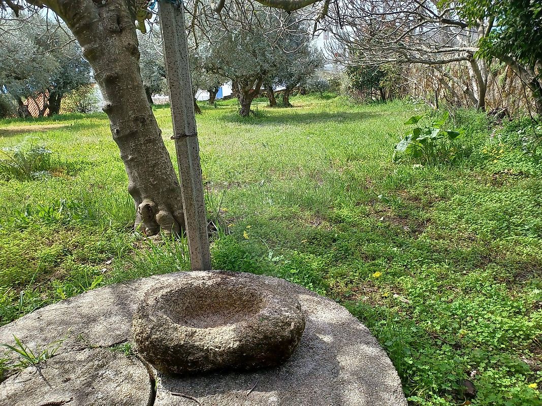 Moradia T4 à venda em Maçainhas, Belmonte — foto 15