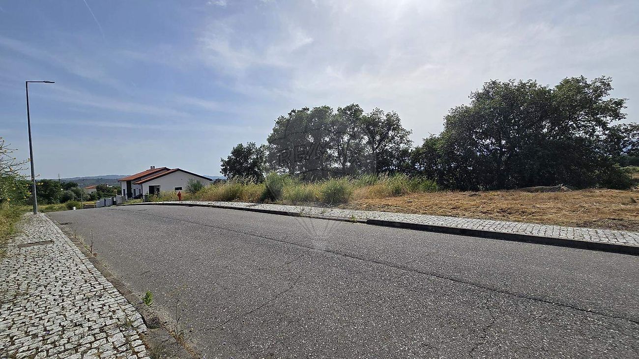 Terreno - Caria, Belmonte, Castelo Branco