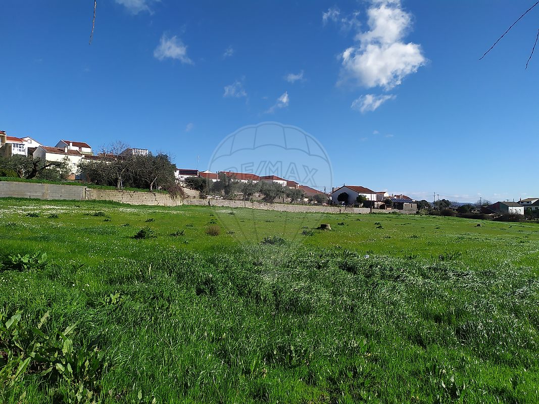 Terreno - Telhado, Fundão, Castelo Branco