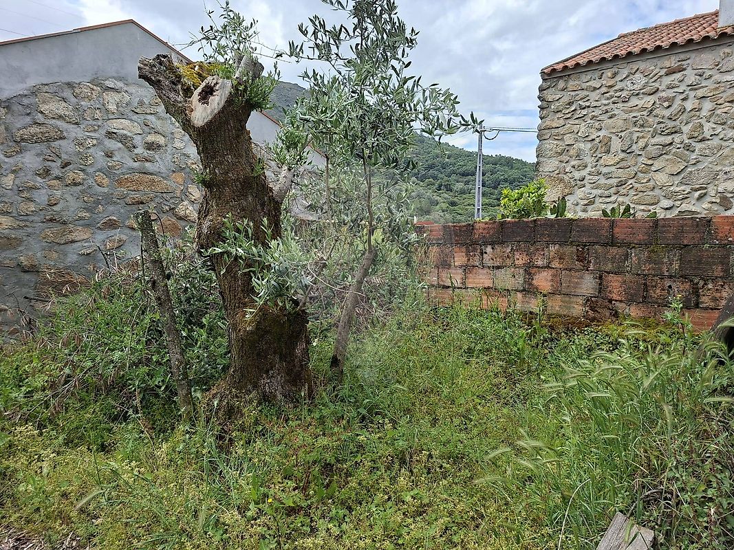 Moradia T2 à venda em Benespera, Guarda — foto 11