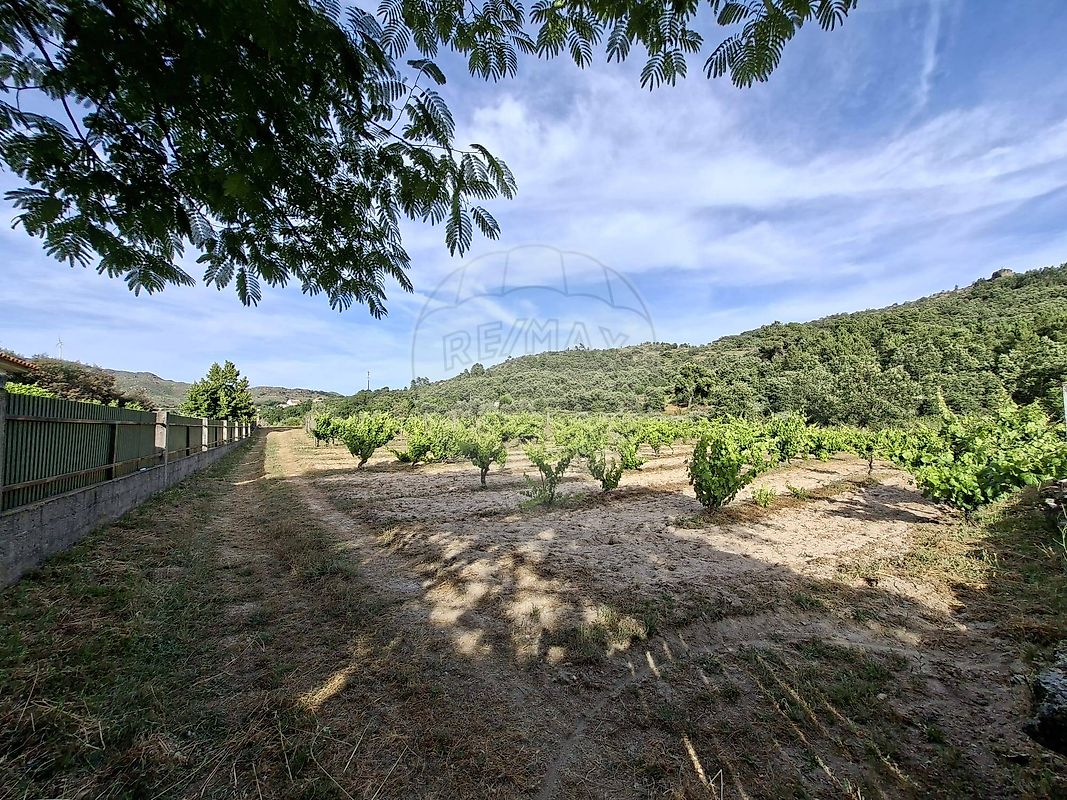 Quinta - Maçaínhas, Belmonte, Castelo Branco