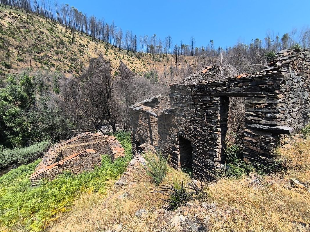 Terreno - Casegas e Ourondo, Covilhã, Castelo Branco