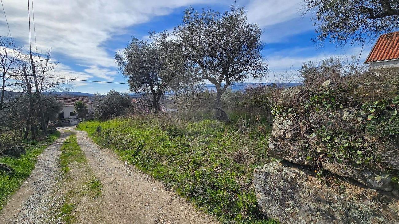 Terreno - Caria, Belmonte, Castelo Branco