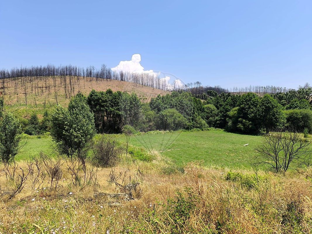 Terreno - Casegas e Ourondo, Covilhã, Castelo Branco
