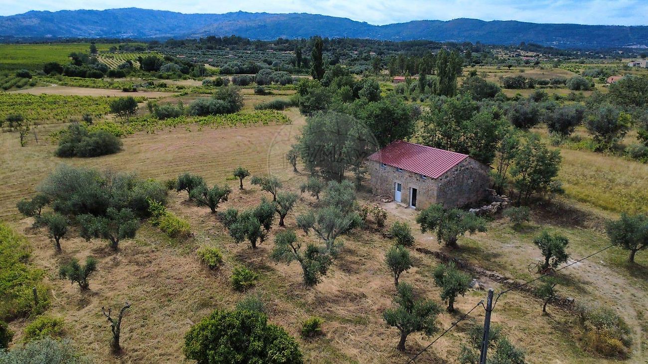Quinta - Póvoa de Atalaia e Atalaia do Campo, Fundão, Castelo Branco