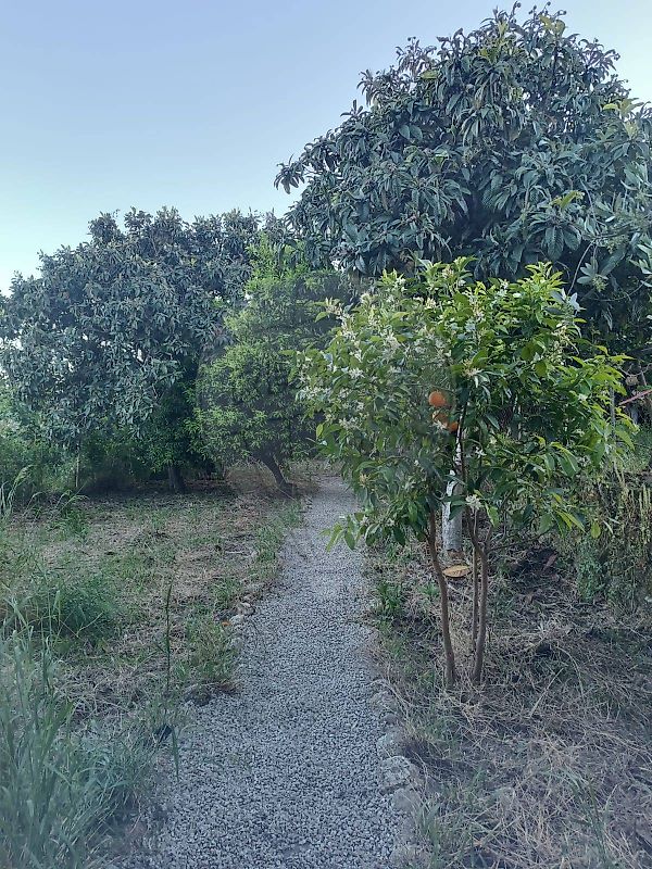 Moradia T3 à venda em Vale de Prazeres e Mata da Rainha, Fundão — foto 22