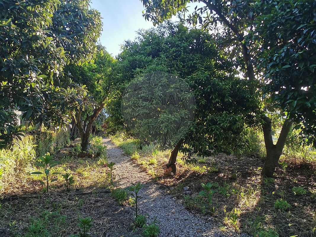 Moradia T3 à venda em Vale de Prazeres e Mata da Rainha, Fundão — foto 20