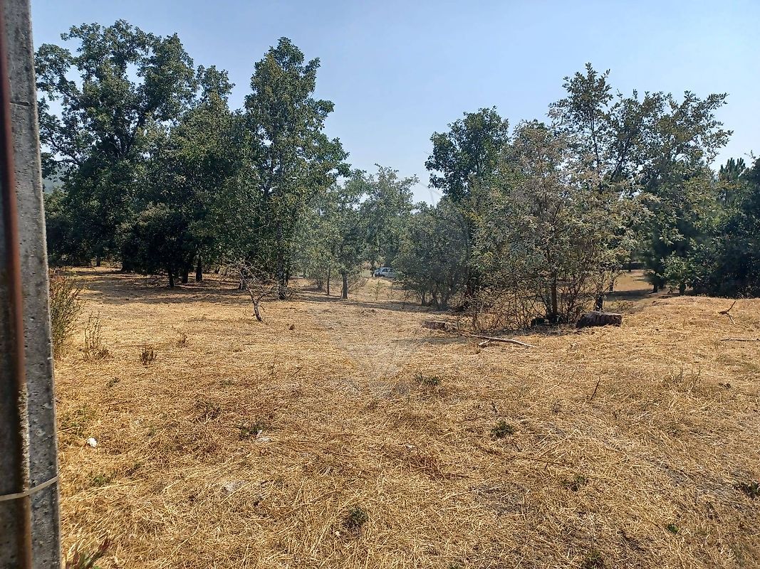 Terreno - Maçaínhas, Belmonte, Castelo Branco